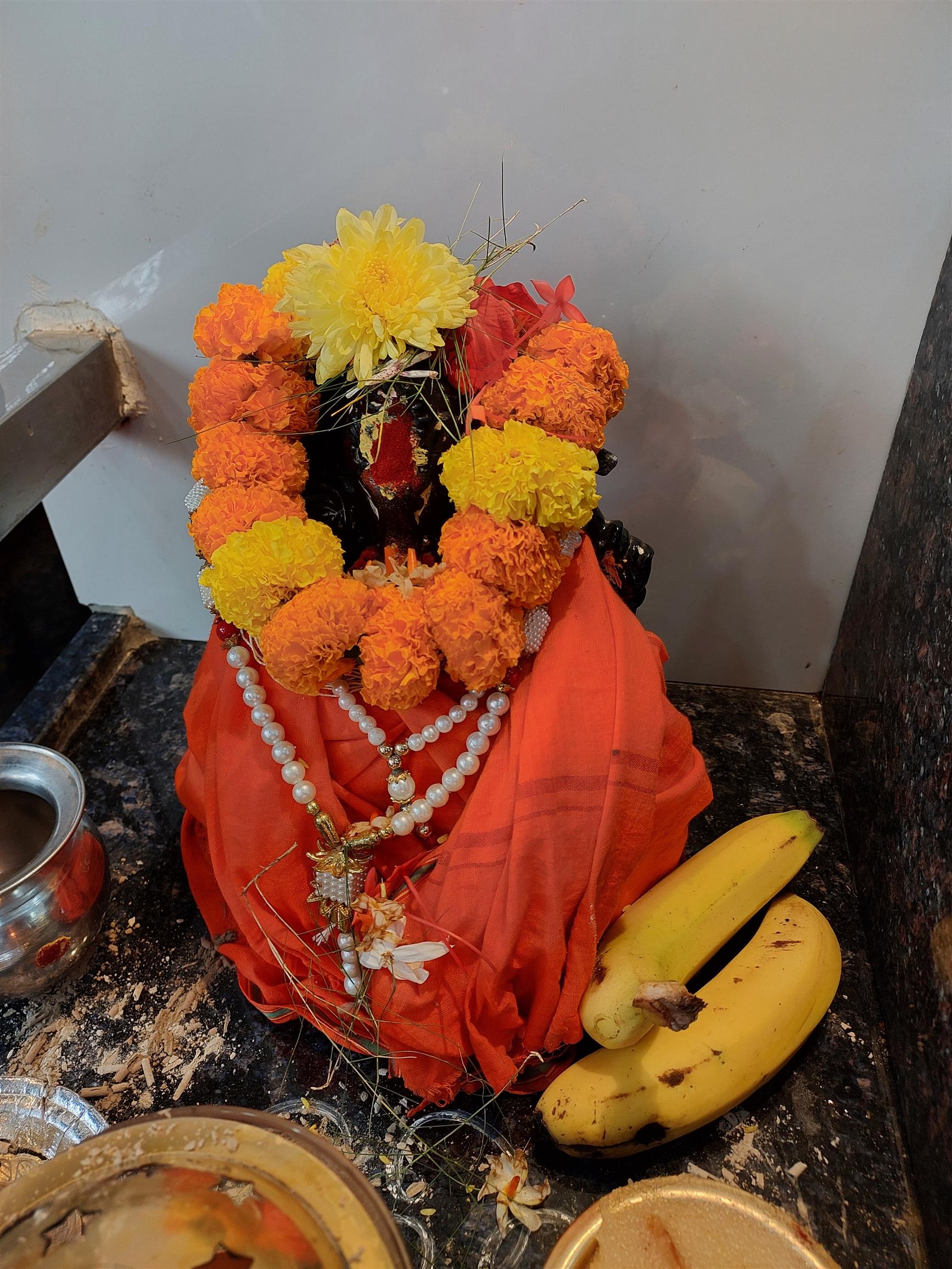 Andhra Swarnkars Bhilai